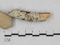 登錄號:F0024867藏品圖，第4張