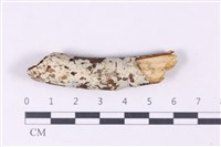 登錄號:F0024867藏品圖，第1張