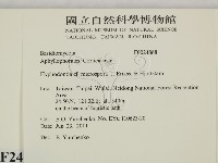 登錄號:F0024868藏品圖，第2張