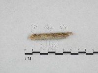 登錄號:F0024869藏品圖，第1張