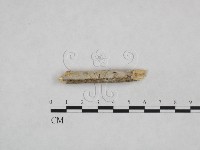 登錄號:F0024869藏品圖，第3張