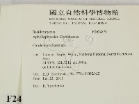 登錄號:F0024871藏品圖，第2張