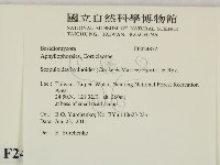 針齒銳岩菌藏品圖，第2張