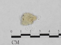 登錄號:F0024873藏品圖，第1張