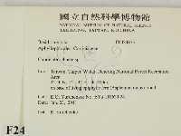 登錄號:F0024875藏品圖，第2張