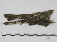登錄號:F0024875藏品圖，第1張