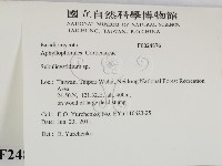 登錄號:F0024876藏品圖，第2張