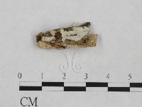 登錄號:F0024876藏品圖，第1張