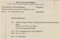 登錄號:F0024876藏品圖，第4張
