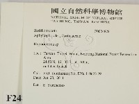 絲皮菌屬藏品圖，第2張