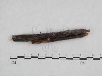 登錄號:F0024879藏品圖，第1張