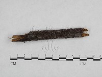 登錄號:F0024879藏品圖，第3張