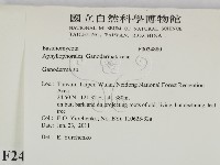 靈芝屬藏品圖，第2張