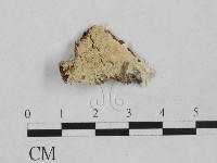 登錄號:F0024881藏品圖，第1張
