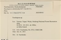 登錄號:F0024881藏品圖，第3張