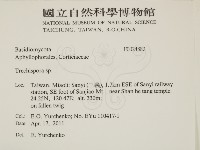 粗糙孢菌屬藏品圖，第2張