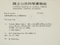 登錄號:F0024884藏品圖，第2張