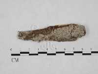 登錄號:F0024884藏品圖，第1張