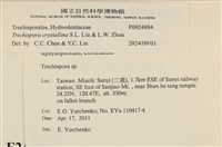登錄號:F0024884藏品圖，第3張
