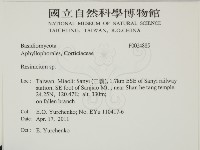 樹脂殼菌屬藏品圖，第2張