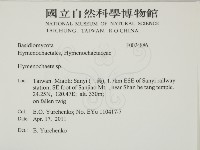 刺革菌屬藏品圖，第2張