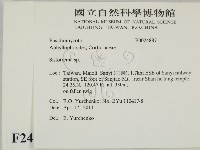 登錄號:F0024887藏品圖，第2張