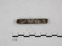 登錄號:F0024887藏品圖，第3張