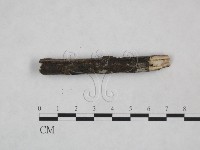 登錄號:F0024887藏品圖，第4張