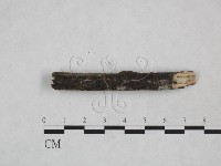 登錄號:F0024887藏品圖，第6張