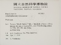 射脈菌屬藏品圖，第2張