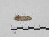 登錄號:F0024892藏品圖，第1張