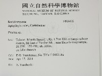 射脈菌屬藏品圖，第2張