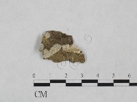 登錄號:F0024894藏品圖，第1張