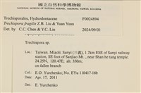 登錄號:F0024894藏品圖，第3張