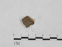登錄號:F0024896藏品圖，第1張