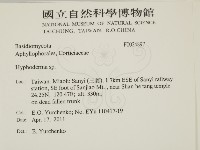 絲皮菌屬藏品圖，第2張