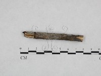 登錄號:F0024899藏品圖，第1張