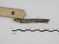 登錄號:F0024899藏品圖，第3張