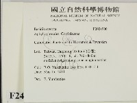 登錄號:F0024900藏品圖，第2張