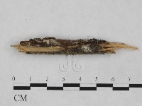 登錄號:F0024900藏品圖，第3張