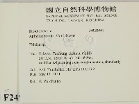 射脈菌屬藏品圖，第2張
