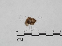 登錄號:F0024902藏品圖，第3張