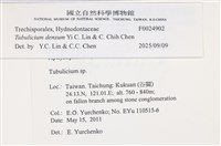 登錄號:F0024902藏品圖，第4張