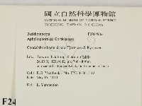 登錄號:F0024906藏品圖，第2張