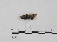 登錄號:F0024906藏品圖，第3張