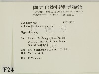 絲皮菌屬藏品圖，第2張