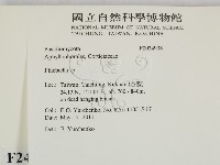 登錄號:F0024908藏品圖，第2張