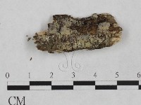 登錄號:F0024908藏品圖，第1張