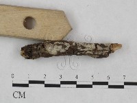 登錄號:F0024910藏品圖，第3張