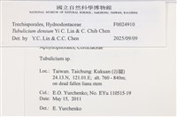 登錄號:F0024910藏品圖，第4張